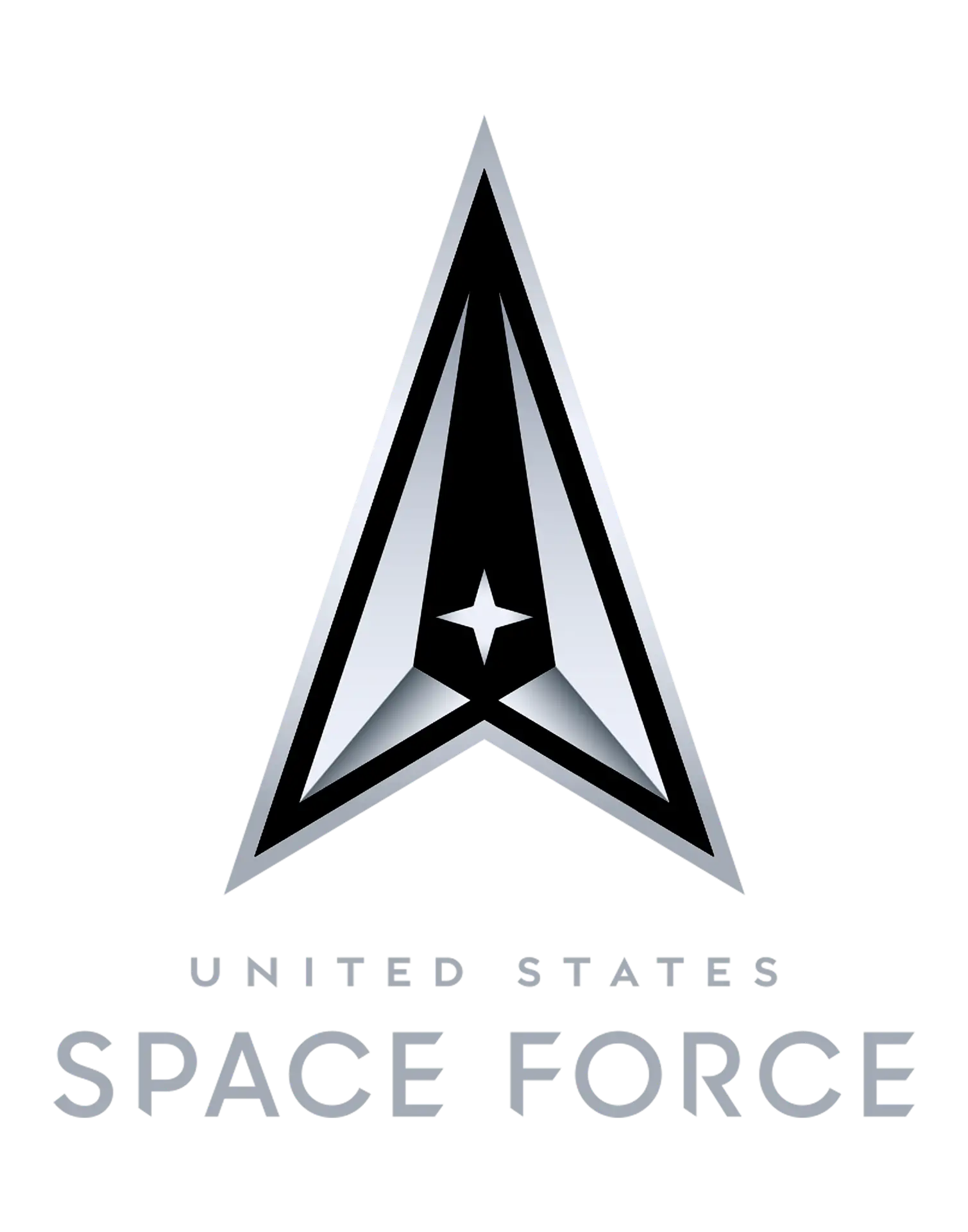 The DSS IDIQ is a multiple-award contract designed to enhance innovation and improve the quality of data software services provided to the Space Force and its customers.